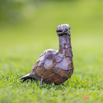 Metalen tuinbeeld van een eend, gemaakt door een Afrikaanse kunstenaar. 